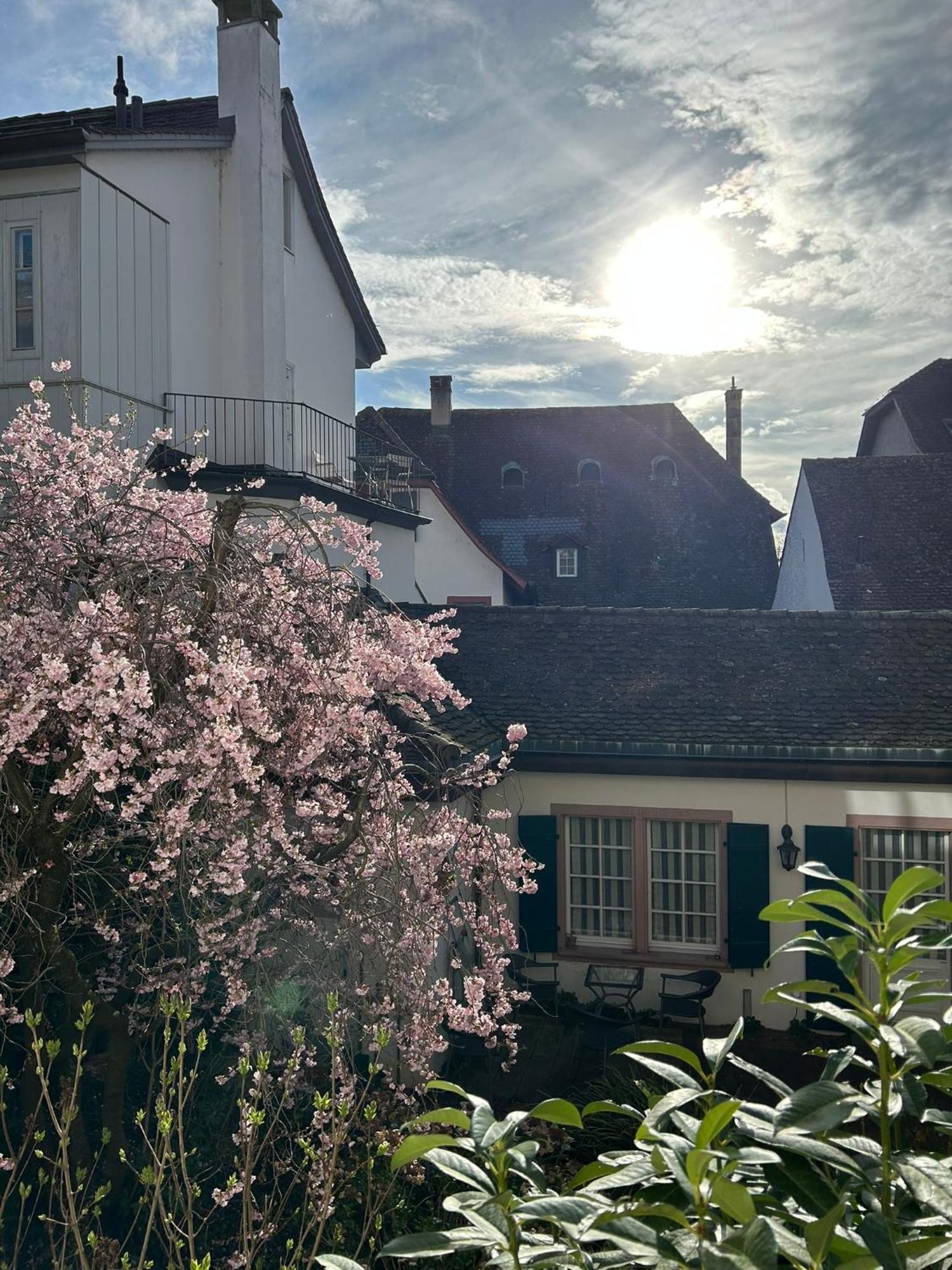 Rheinstream * Basel