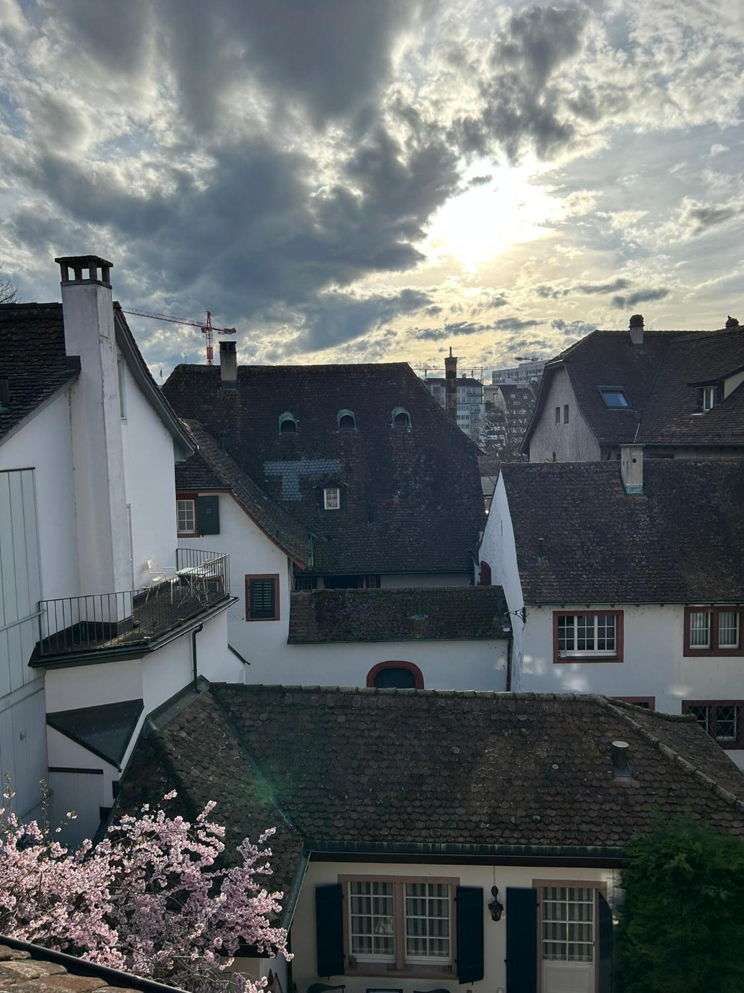 Rheinstream Penzion